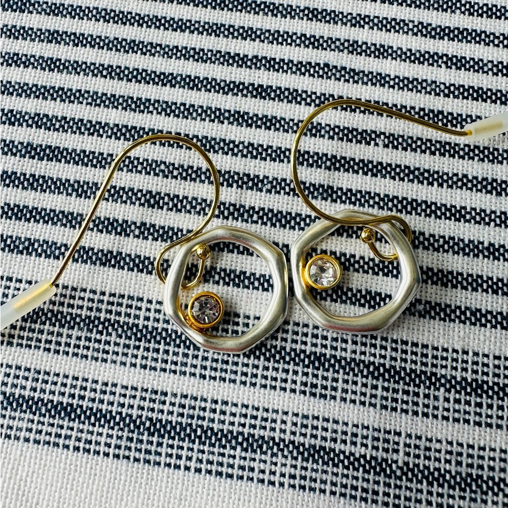 Elegant Silver and Gold Earrings